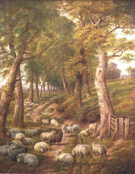 Landscape with Sheep van Charles Jones