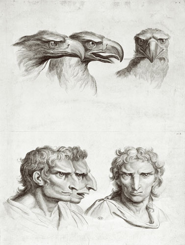 Similarities Between the Head of an Eagle and a Man, from 'Livre de portraiture pour ceux qui commen van Charles Le Brun