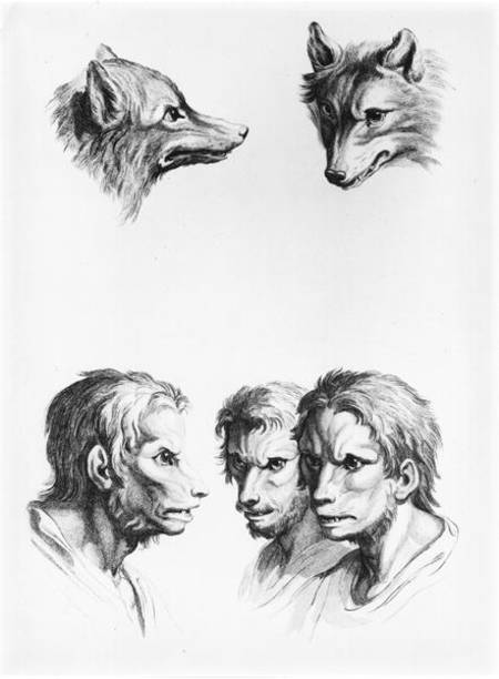Similarities Between the Head of a Wolf and a Man, from 'Livre de portraiture pour ceux qui commence van Charles Le Brun