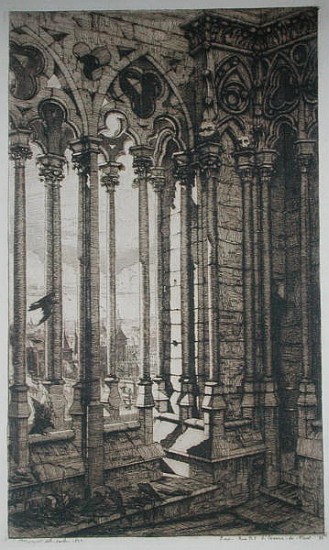 The Gallery of Notre-Dame, Paris van Charles Meryon