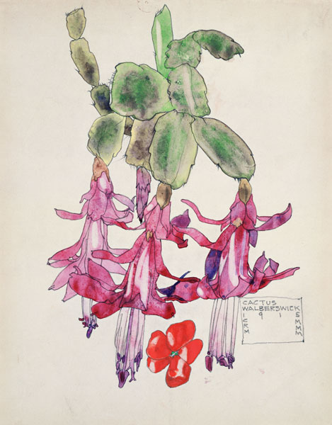 Cactus Flower van Charles Rennie Mackintosh