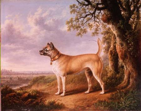A Terrier on a path in a wooded landscape van Charles Towne