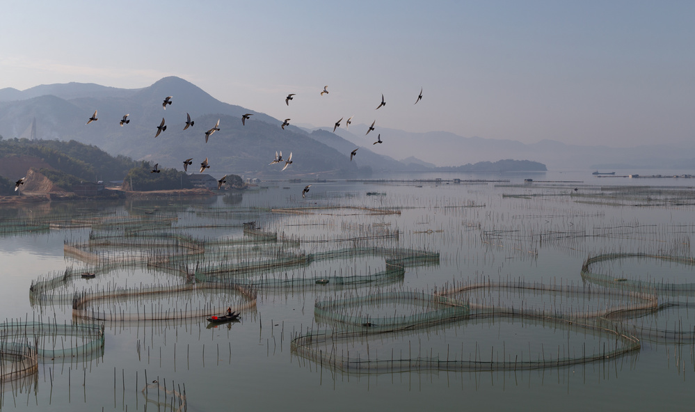 An aquaculture farm at Fuding van Cheng Chang