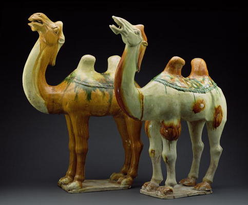 Two camels, Tang Dynasty (618-907) (glazed earthenware) van Chinese School
