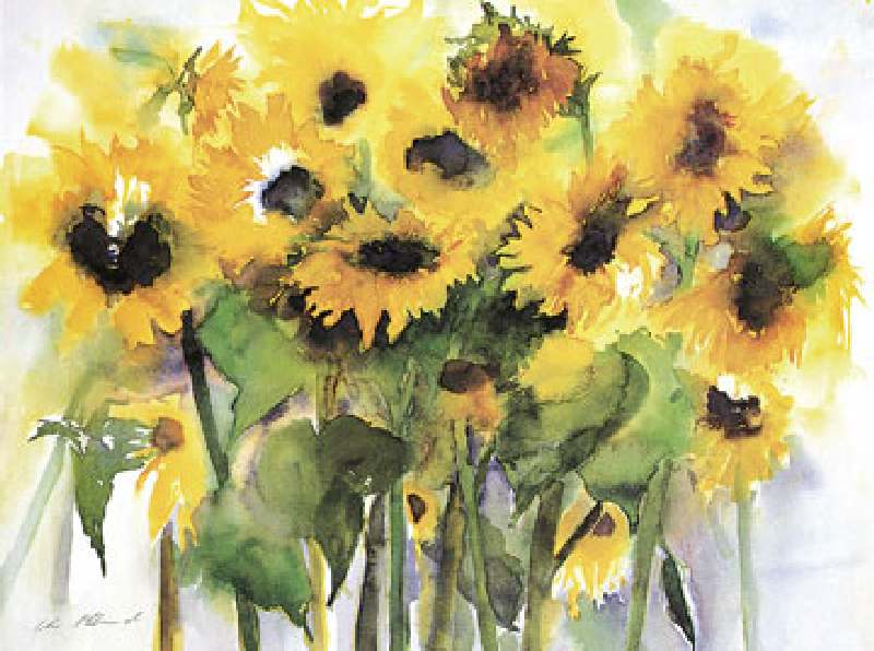 Sonnenblumenfeld van Christa Ohland