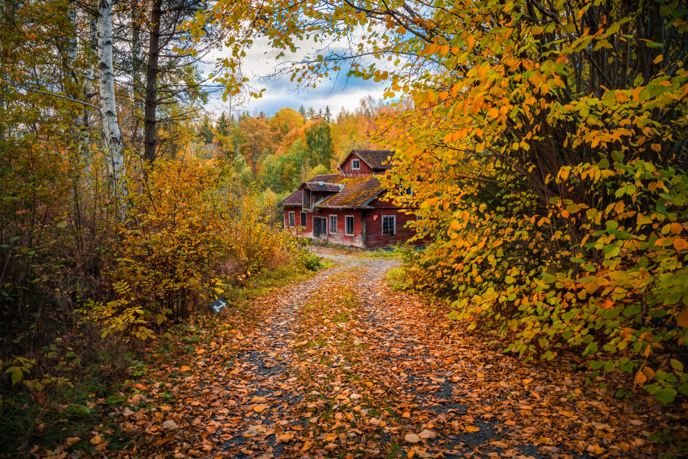 Old mill surrounded by autumn colors van Christian Lindsten