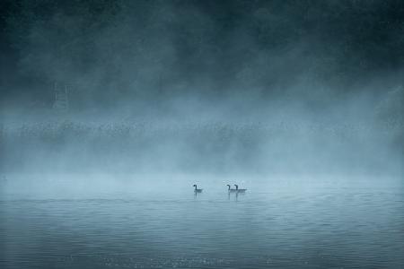 Dark and foggy lake