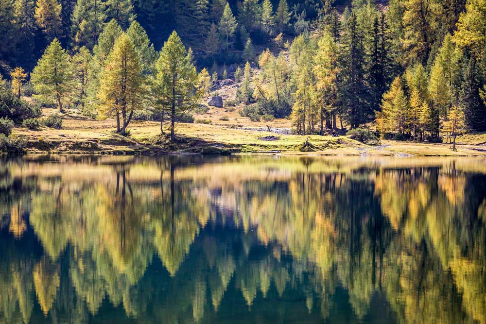 Autumn forest at the Duisitzkarsee in the Schladming Mountains van Christian Müringer