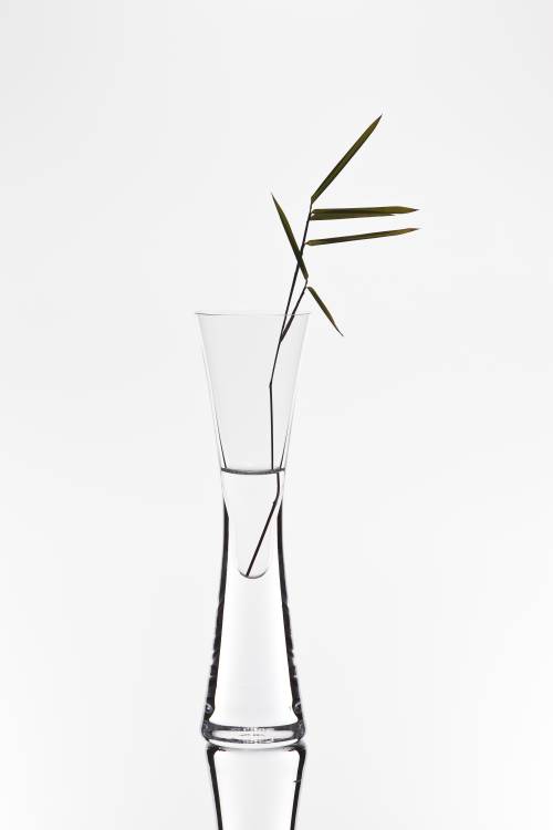 bamboo van Christian Pabst