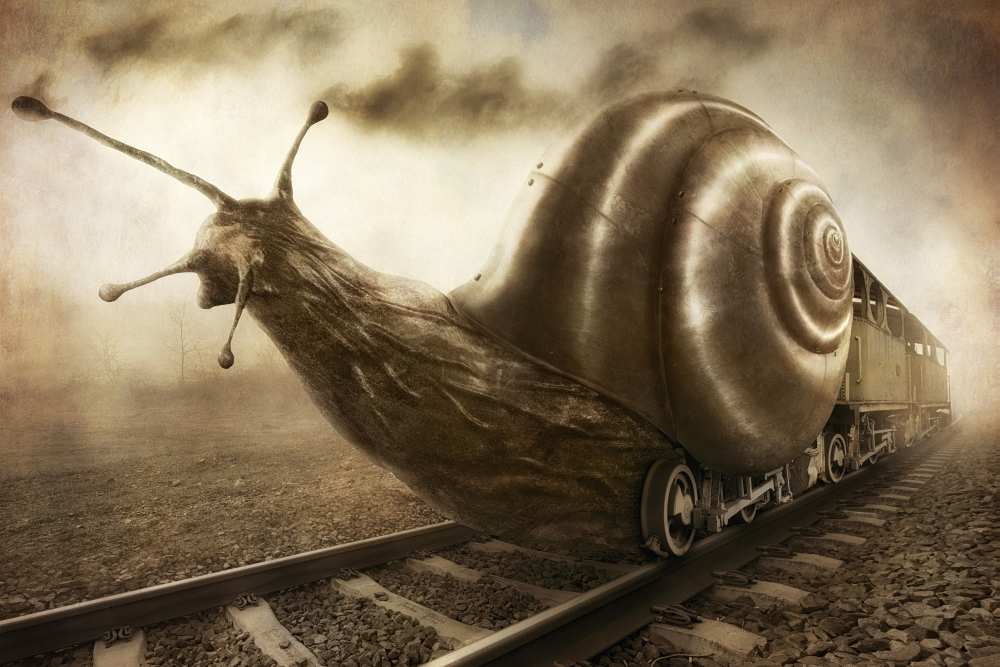 Snail Mail van Christophe Kiciak