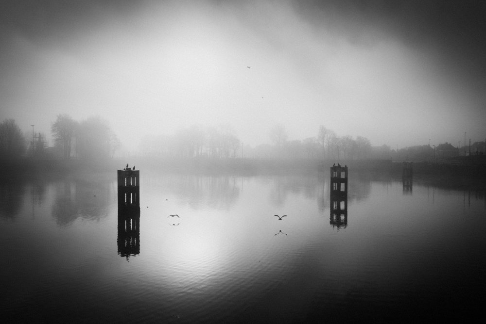 In the misty morning van Christophe Staelens