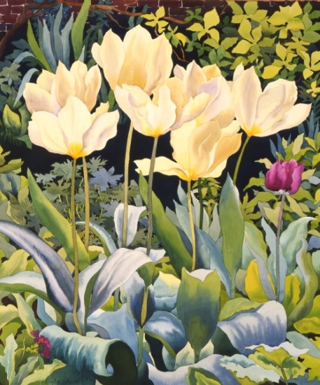 Pale Tulips van Christopher  Ryland