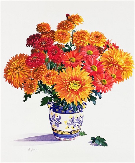 October Chrysanthemums (w/c on paper)  van Christopher  Ryland