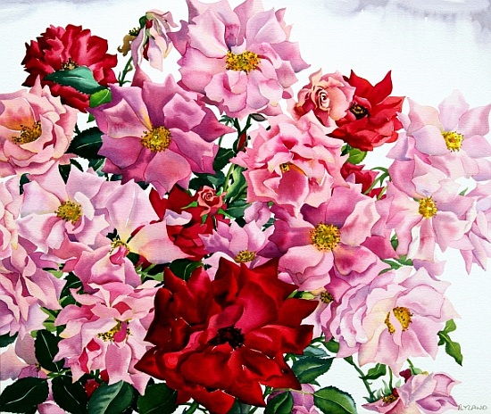 Red and Pink Roses van Christopher  Ryland