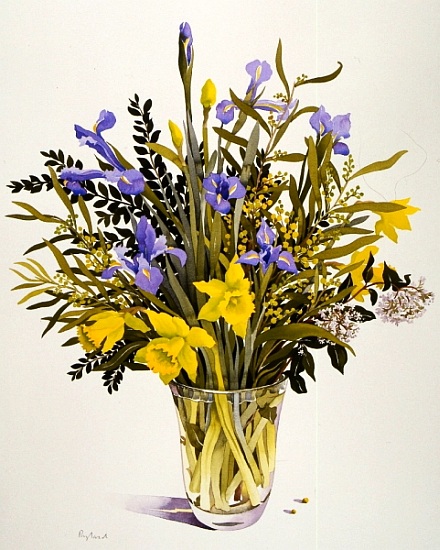 Spring Flowers van Christopher  Ryland
