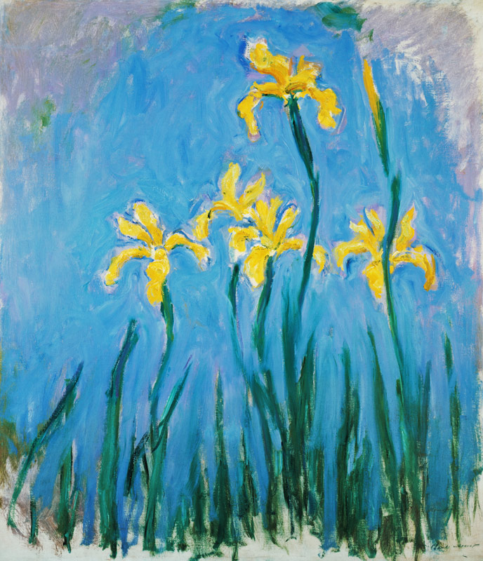 Gelbe Iris. van Claude Monet