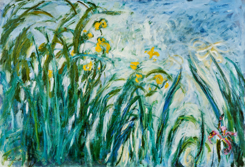 Gelbe und violette Schwertlilien van Claude Monet