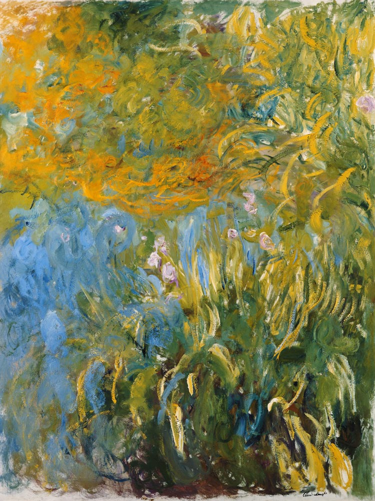 Iris. van Claude Monet