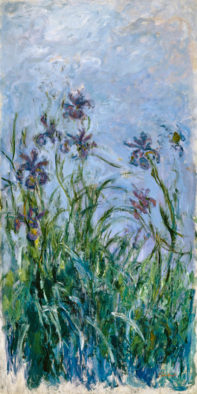 Iris Mauves van Claude Monet