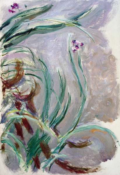 Iris van Claude Monet