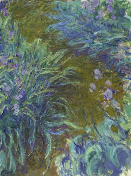 Irises van Claude Monet