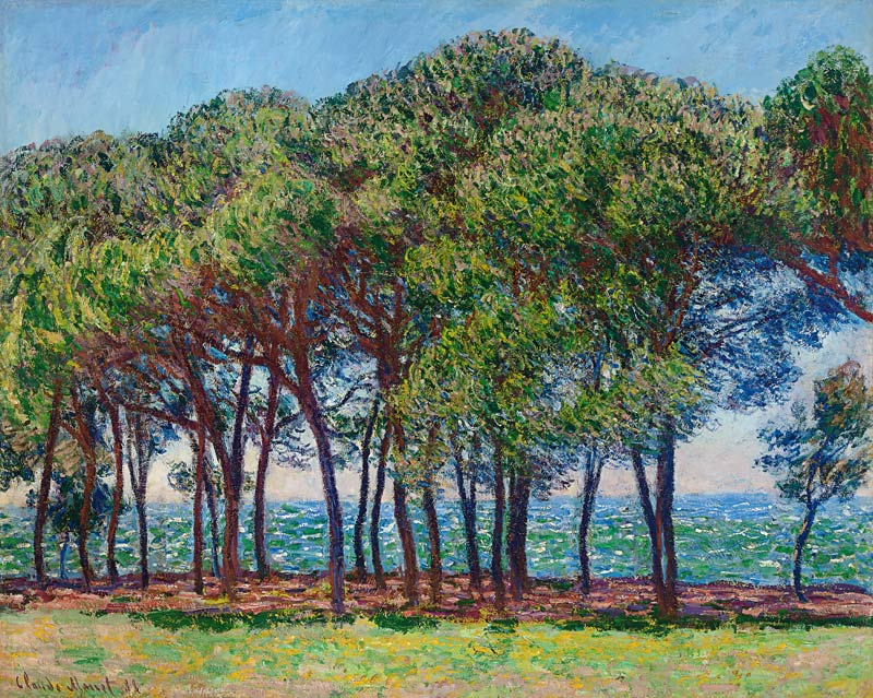 Kiefern am Cap d'Antibes van Claude Monet