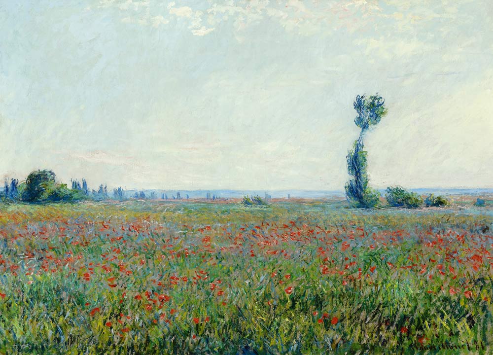 Poppy field van Claude Monet