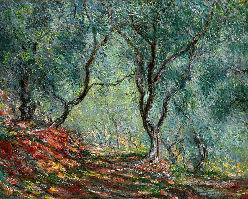 Olijfgaard in Tuin Moreno Claude Monet van Claude Monet