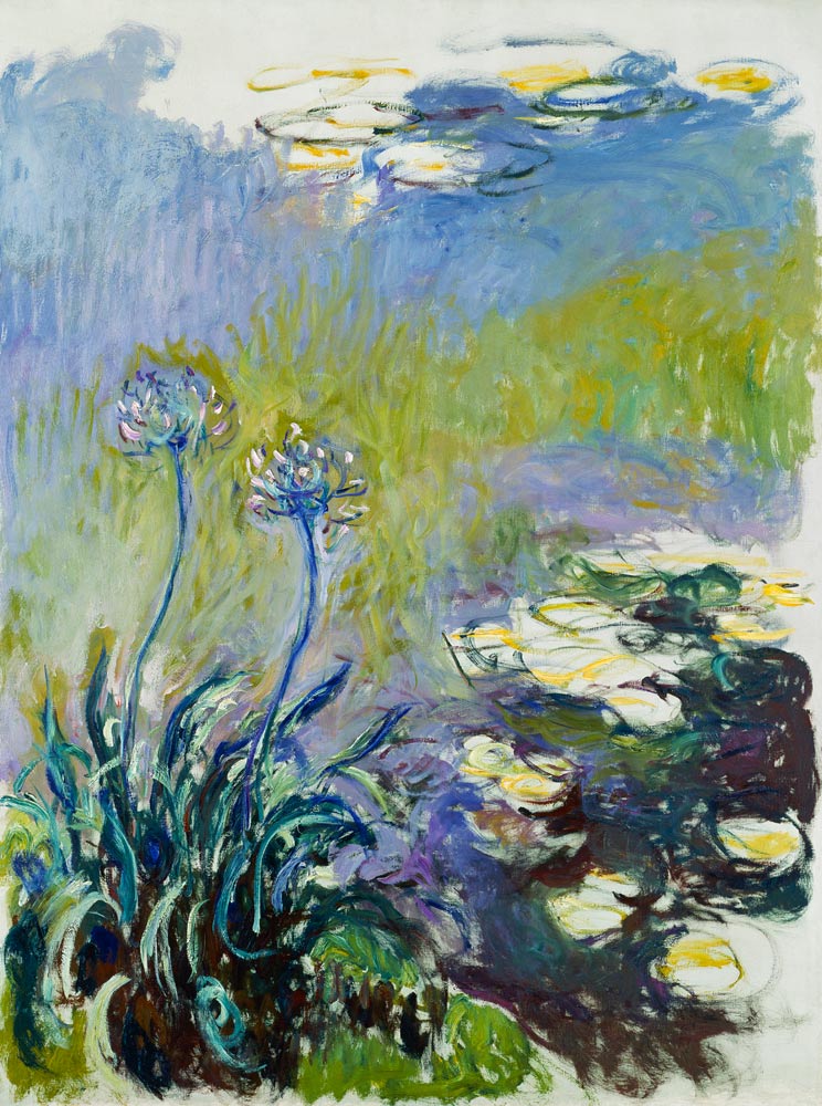 The Agapanthus van Claude Monet