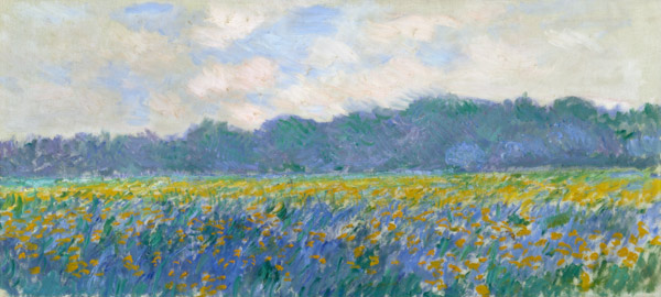 Veld gele irissen bij Giverny van Claude Monet