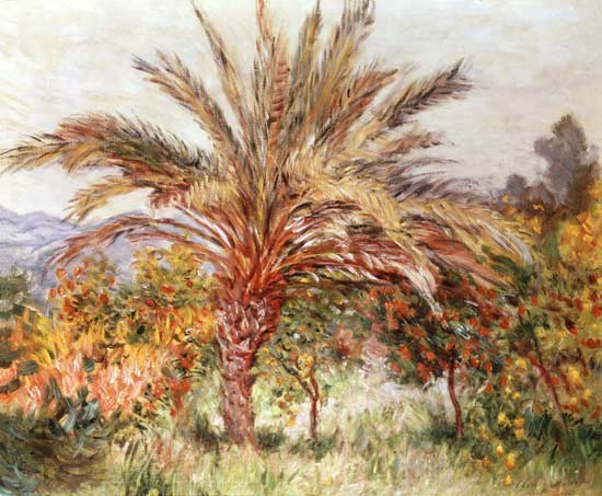 Palm Tree at Bordighera van Claude Monet