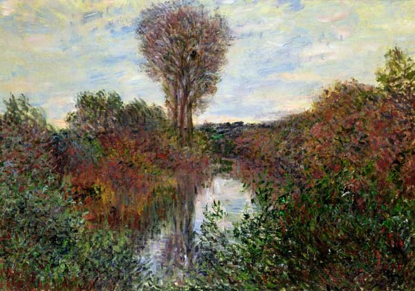 Small Branch of the Seine van Claude Monet