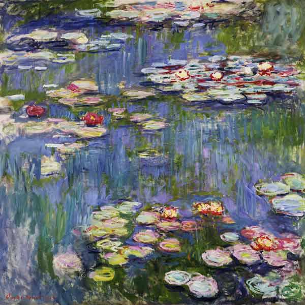 Water Lilies -