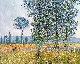Velden in de lente - Claude Monet