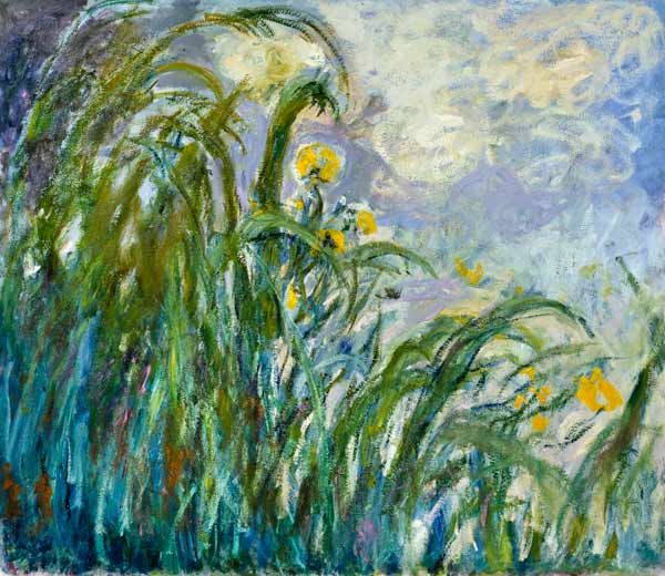 The Yellow Iris van Claude Monet