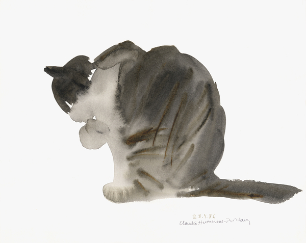 Cat van Claudia Hutchins-Puechavy