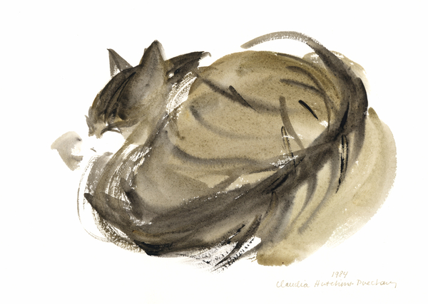 Sleeping cat van Claudia Hutchins-Puechavy