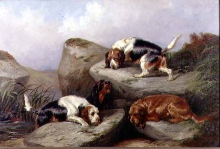 Otterhounds van Colin Graeme
