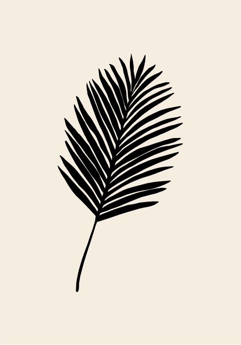 Black Palm van Graphic Collection