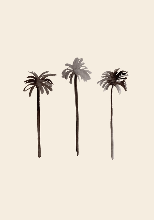 Palm Trees Ink van Graphic Collection