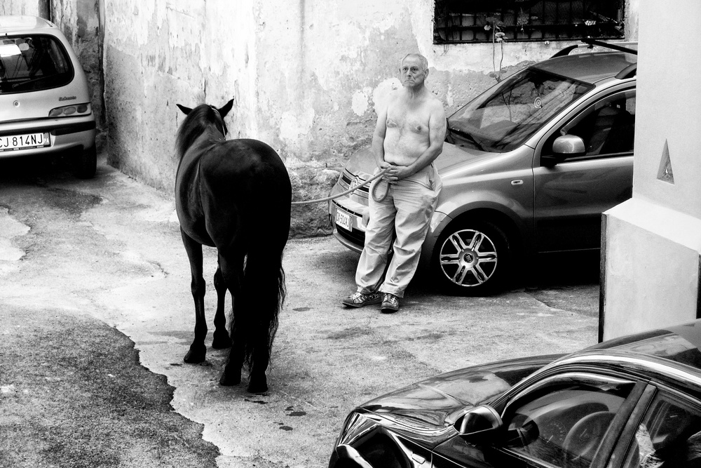 Man with Horse in Palermo Sicily van Constantine Matsos