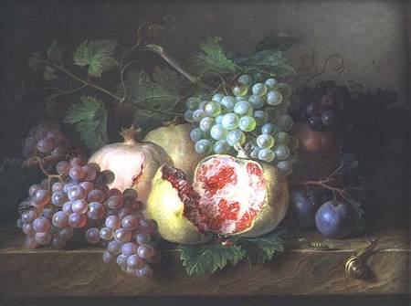 Still life of pomegranates, grapes and plums on a marble ledge van Cornelis van Spaendonck
