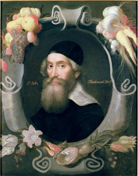 John Tradescant the Elder (1570-c.1638) van Cornelius de Neve