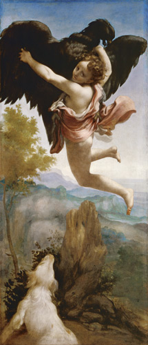 Die Entführung des Ganymed. van Correggio (eigentl. Antonio Allegri)