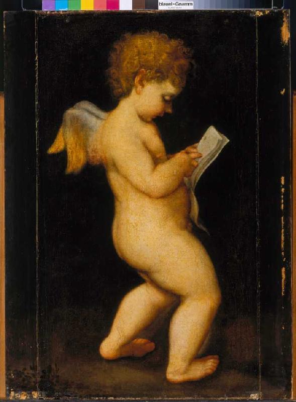 Lesende Putte van Correggio (eigentl. Antonio Allegri)