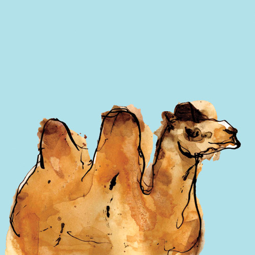 Horizontal Camel van Louise Cunningham