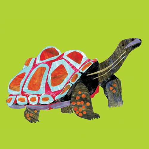 Paper Tortoise van Louise Cunningham