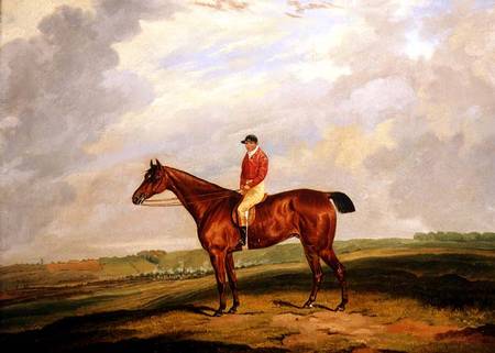 Racehorse with Jockey Up van D. the Younger Wolstenholme