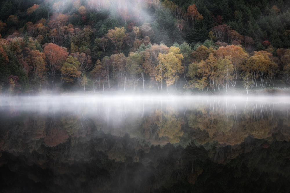 The mystical pond in the autumn 3 van Daiki Suzuki
