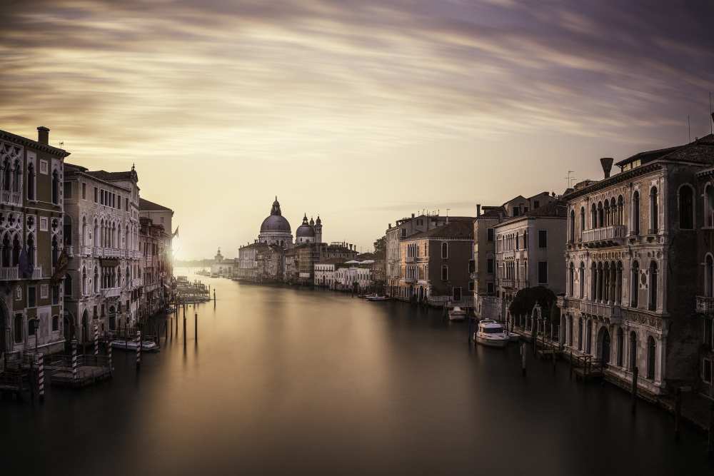 Venice van Dan Muntean